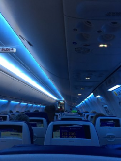 Inside the cabin after they dimmed the lights. - Picture of ...