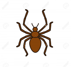 Spider Clipart & Look At Clip Art Images - ClipartLook
