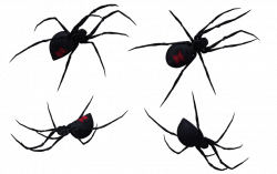 Free Black Widow Spider Art, Download Free Clip Art, Free Clip Art ...