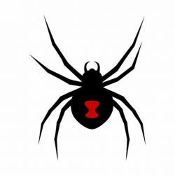 Black widow spider clipart 4 » Clipart Portal