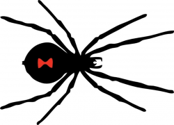 Black Widow Spider clip art Free vector in Open office drawing svg ...