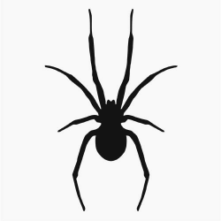 collection of spider. Spiders clipart simple | Halloween | Spider ...