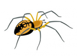 Free Spider Clipart - Clip Art Pictures - Graphics - Illustrations