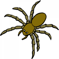 insect clipart spider | Clipart Panda - Free Clipart Images