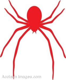 Cartoon Spider Web Clipart | Free download best Cartoon Spider Web ...