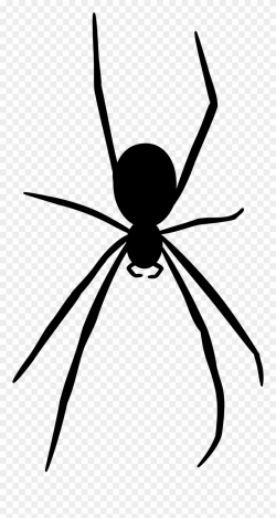 Free Spider Silhouette Free Spider Free Black - Realistic Spider ...