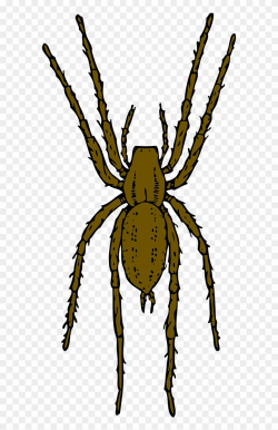 Brown Spider Clipart By Johnny Automatic - Spider Clip Art Realistic ...