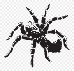 Creepy Clipart Scary Spider - Tarantula Clip Art Black And White, HD ...