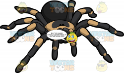 A Tarantula Spider