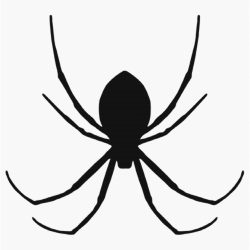 Spider Clip Art With Transparent Background | Clipart Panda - Free ...