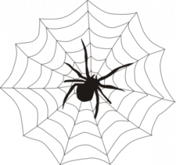 Spider And Web Clip Art at Clker.com - vector clip art online ...