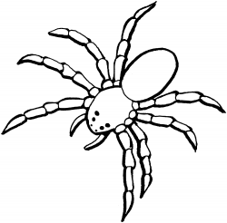 Spider black and white spider clipart black and white free images ...