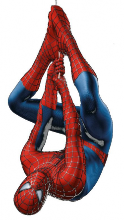 Spiderman Upside Down Wallpaper | Wallpapers ♥️ | Spiderman ...