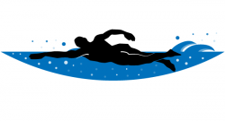 Free Free-Swimming Cliparts, Download Free Clip Art, Free Clip Art ...