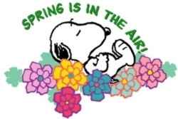 Free Snoopy Easter Cliparts, Download Free Clip Art, Free Clip Art ...