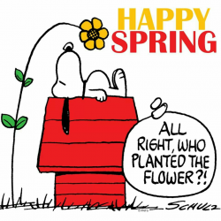 Snoopy spring clipart 8 » Clipart Station