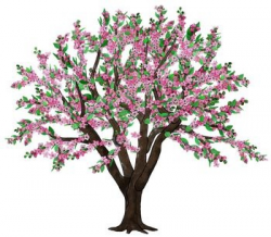 Free Spring Trees Cliparts, Download Free Clip Art, Free Clip Art on ...