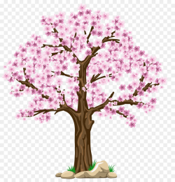 Tree, Spring, Flower, transparent png image & clipart free download