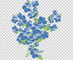 Scorpion Grasses First Spring Flowers PNG, Clipart, Blue ...