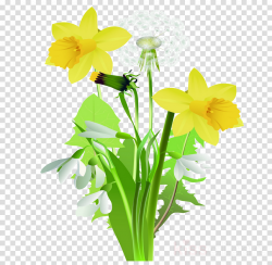 Floral Spring Flowers clipart - Daffodil, Flower ...