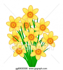 Stock Illustration - Yellow daffodil flowers bunch. Clipart ...