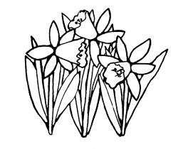 Free Spring Outline Cliparts, Download Free Clip Art, Free ...