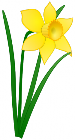 spring+and+easterclip.art | ... , easter flower, flower, one ...