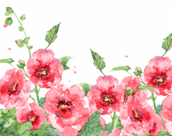 Watercolor painting Watercolour Flowers Bird-and-flower ...