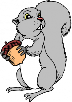 Free Gray Squirrel Cliparts, Download Free Clip Art, Free ...