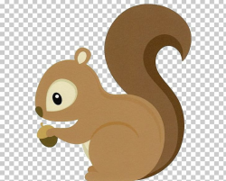 Eastern Gray Squirrel Cuteness PNG, Clipart, Animal, Animals ...