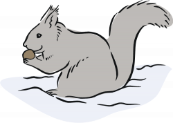 Free Gray Squirrel Cliparts, Download Free Clip Art, Free ...
