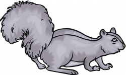 Free Gray Squirrel Cliparts, Download Free Clip Art, Free ...