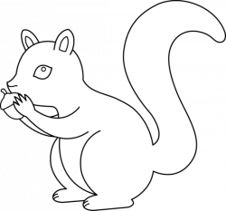 Free Images Of Squirrel, Download Free Clip Art, Free Clip ...