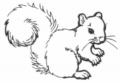Squirrel Outline Embroidery Design | Squirrel coloring page ...