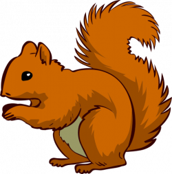 Cartoon Squirrels Pictures | Free download best Cartoon ...