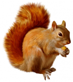 Squirrel Clipart | Clipart Panda - Free Clipart Images