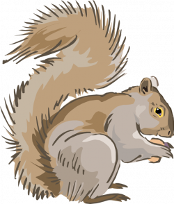 Free Gray Squirrel Cliparts, Download Free Clip Art, Free ...