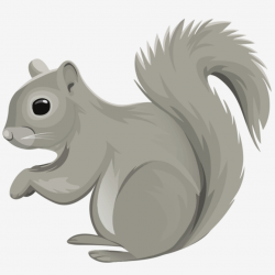 Cute Little Grey Squirrel, Small, Illustration, Cartoon PNG ...