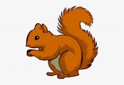 Clipart Squirrel - Squirrel Clipart Png - Free Transparent ...