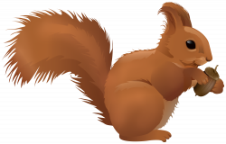 Squirrel Cartoon PNG Clipart | Gallery Yopriceville - High ...