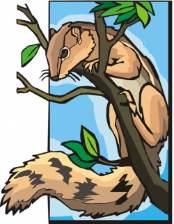 Clipart tree squirrel, Clipart tree squirrel Transparent ...
