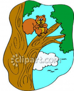 Squirrel In A Tree Clipart