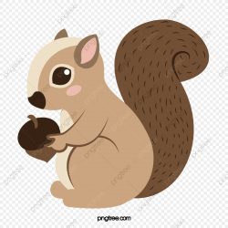 Cute Squirrel, Squirrel Clipart, Cute Clipart, Animal PNG ...