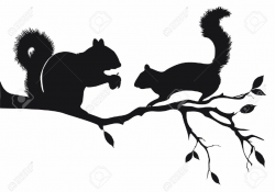 Squirrel Stock Illustrations, Cliparts And Royalty Free ...
