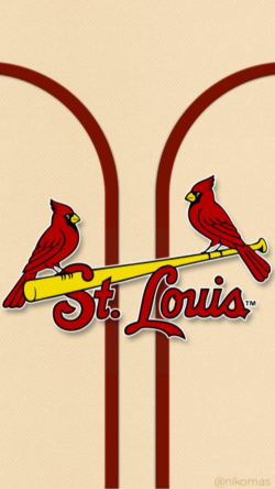 Wallpaper Cardinals wallpaper hd | St louis cardinals ...