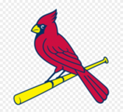 St Louis Cardinals Bird On Bat Clipart (#1093480) - PinClipart