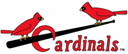 Birds on a Bat: The Evolution of the Cardinals Franchise ...