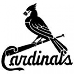 Amazon.com: St Louis Cardinals Baseball Logo Stencil Mylar ...