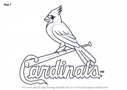How to Draw St. Louis Cardinals Logo - DrawingTutorials101 ...