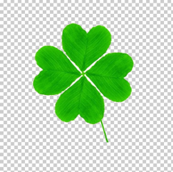 Four-leaf Clover Saint Patricks Day PNG, Clipart, 4 Leaf Clover ...